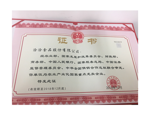 國(guó)家重點(diǎn)龍頭企業(yè)